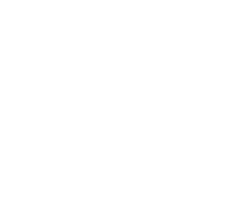 Icon e bike