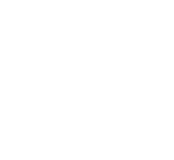 Icon scooter